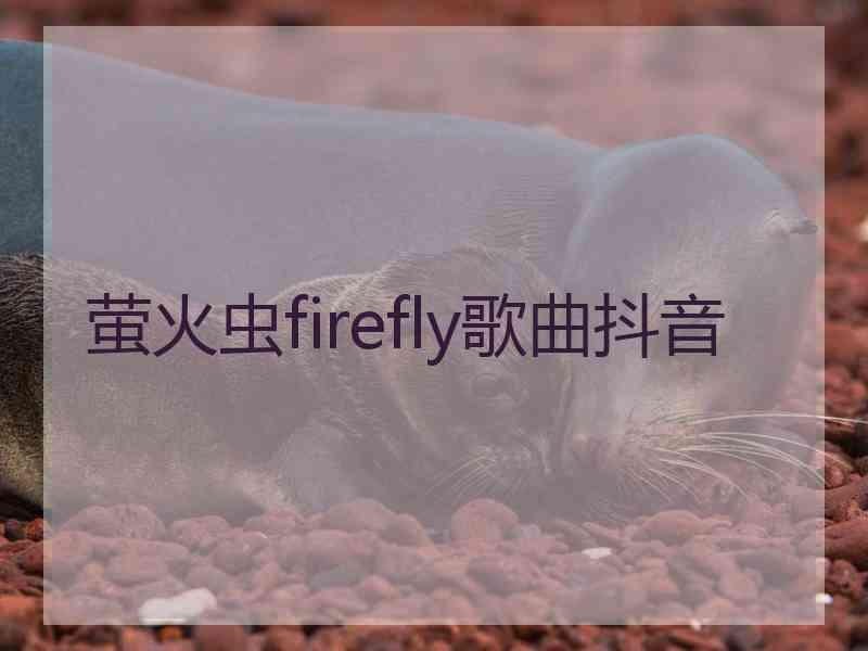 萤火虫firefly歌曲抖音