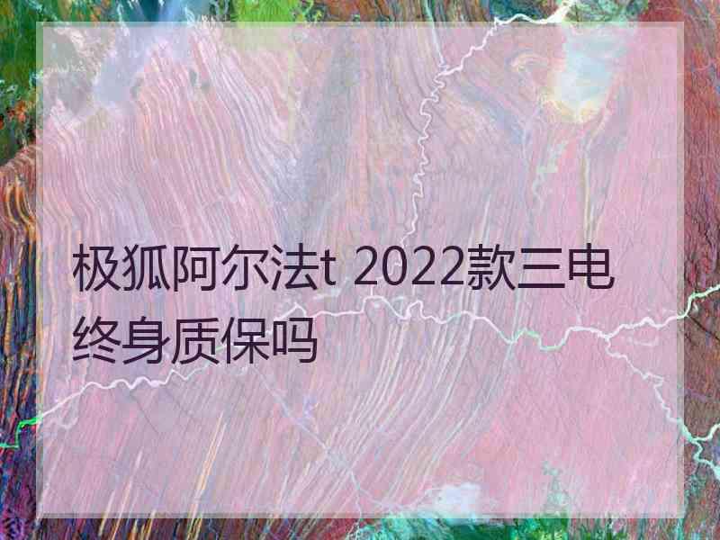 极狐阿尔法t 2022款三电终身质保吗