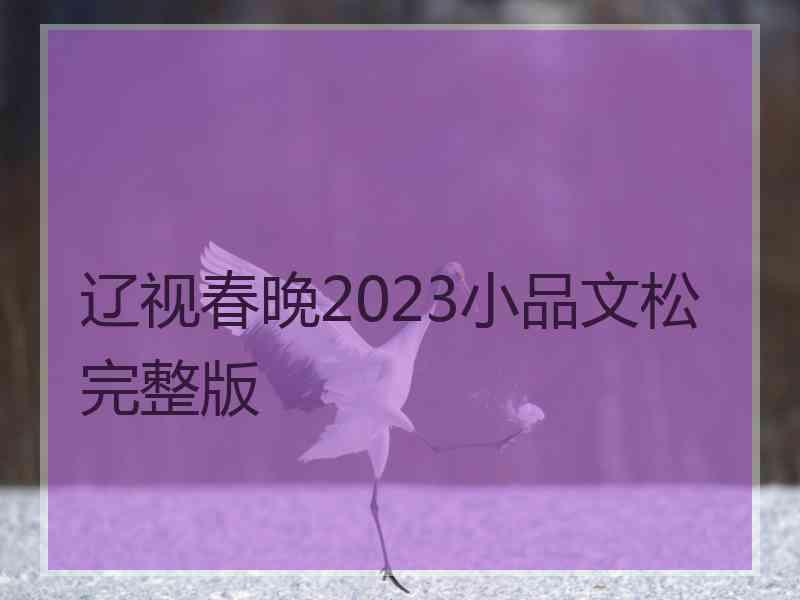 辽视春晚2023小品文松完整版