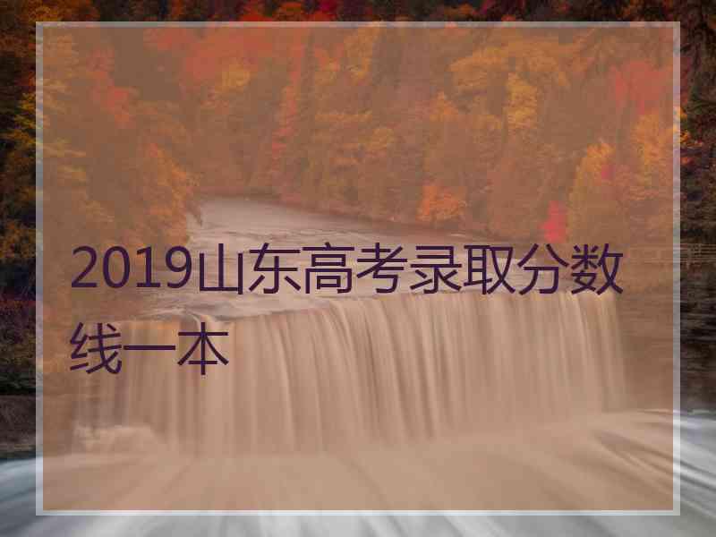 2019山东高考录取分数线一本