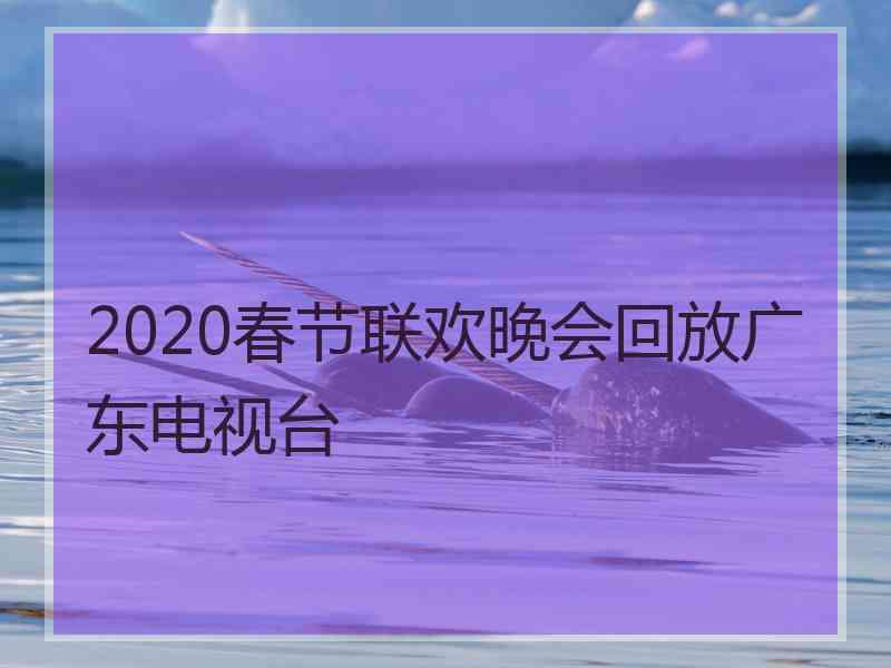 2020春节联欢晚会回放广东电视台