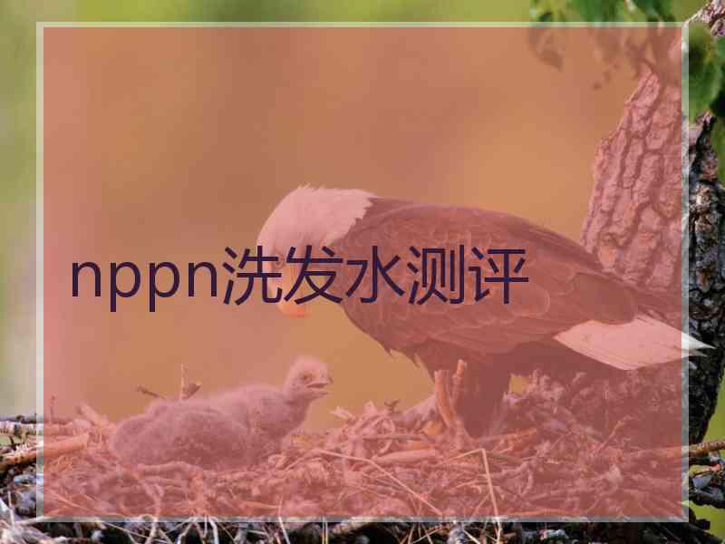 nppn洗发水测评