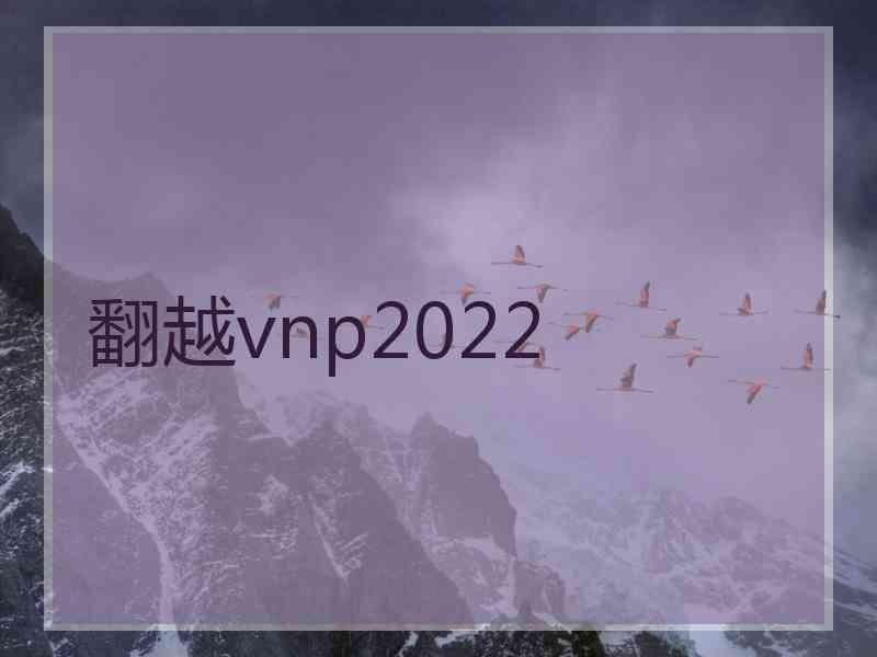 翻越vnp2022