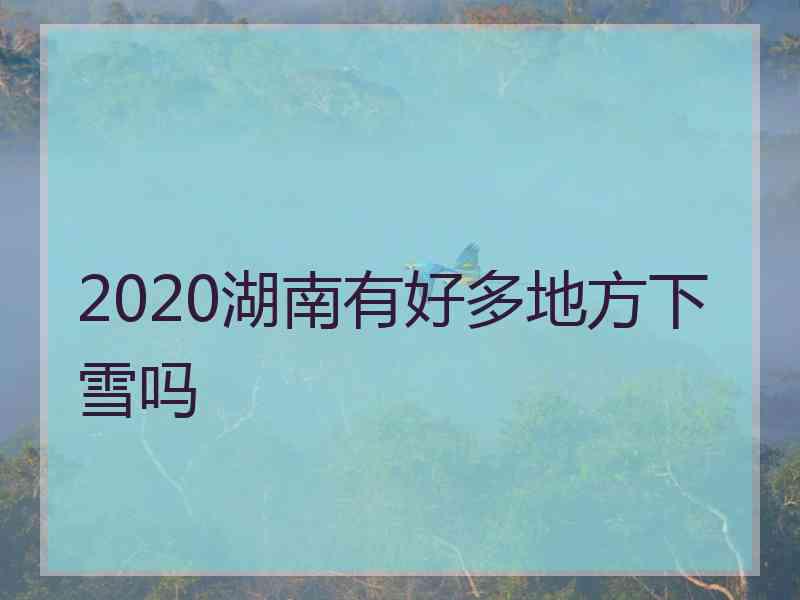 2020湖南有好多地方下雪吗