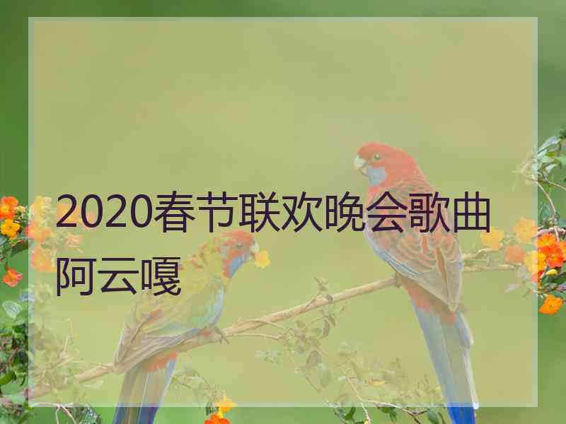 2020春节联欢晚会歌曲阿云嘎