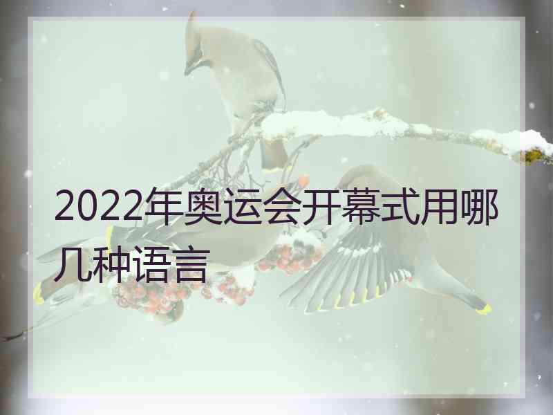 2022年奥运会开幕式用哪几种语言