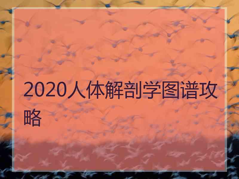 2020人体解剖学图谱攻略