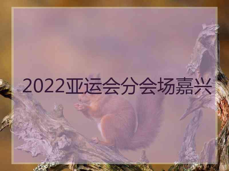 2022亚运会分会场嘉兴