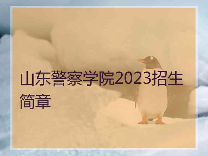 山东警察学院2023招生简章