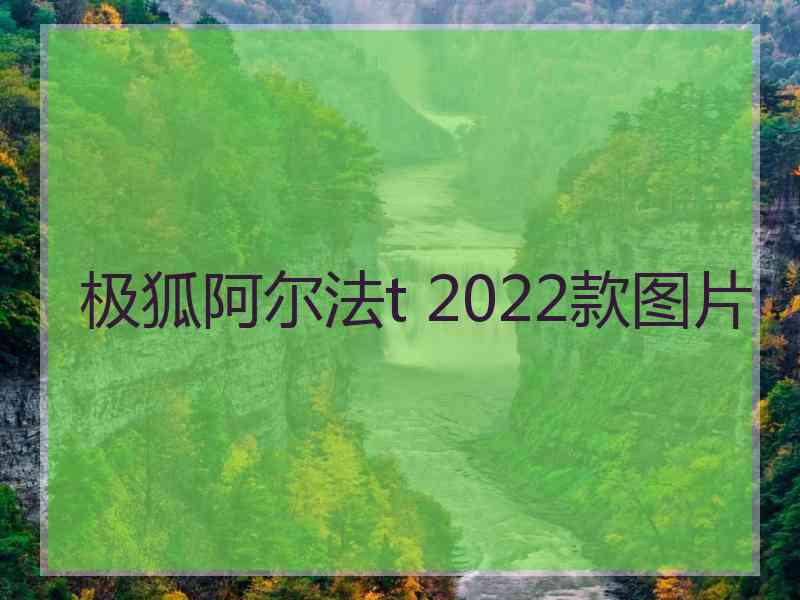 极狐阿尔法t 2022款图片