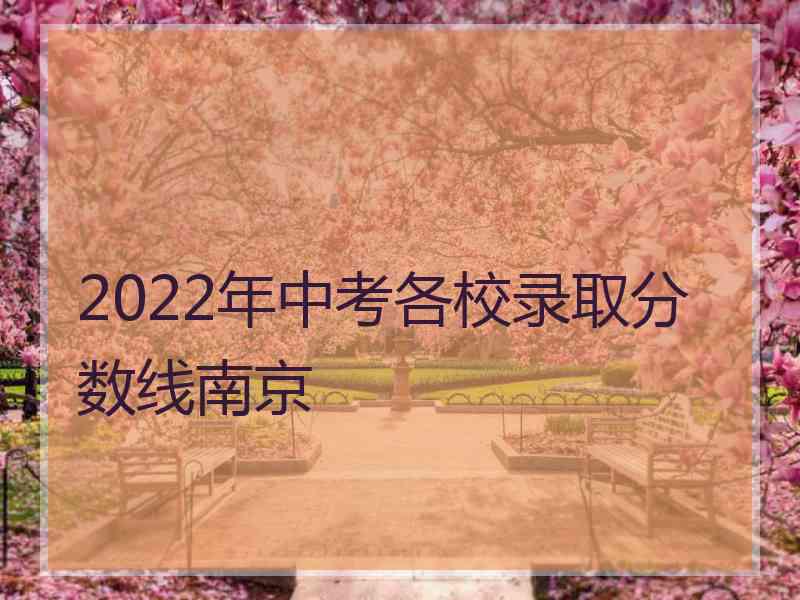 2022年中考各校录取分数线南京