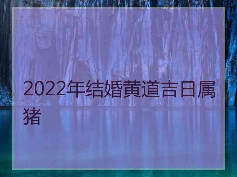 2022年结婚黄道吉日属猪