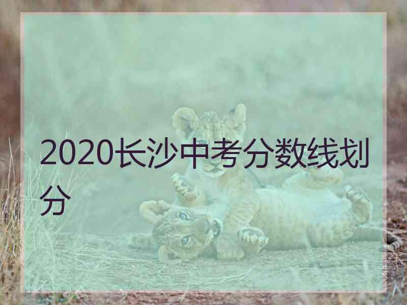 2020长沙中考分数线划分