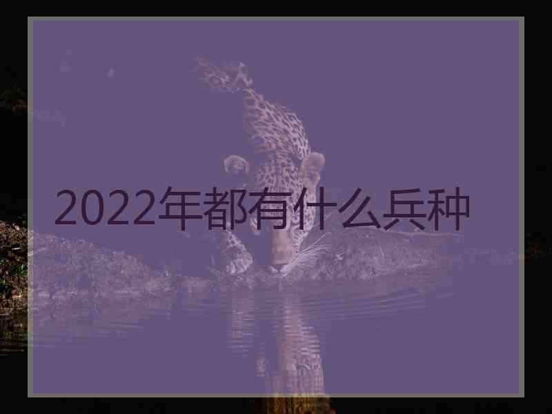 2022年都有什么兵种