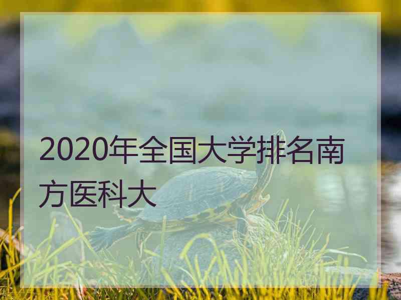 2020年全国大学排名南方医科大