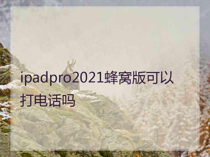 ipadpro2021蜂窝版可以打电话吗