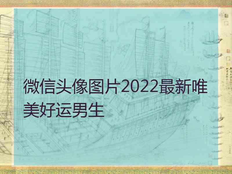 微信头像图片2022最新唯美好运男生