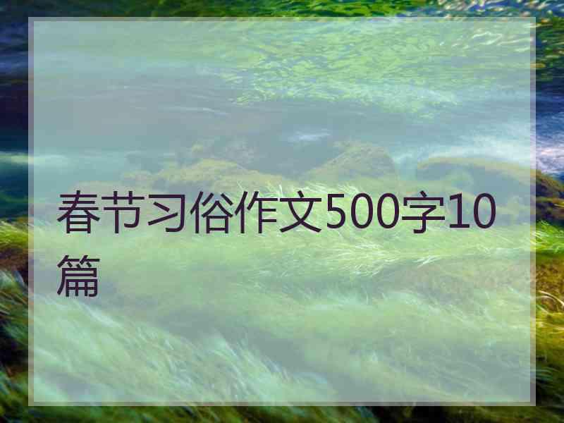 春节习俗作文500字10篇