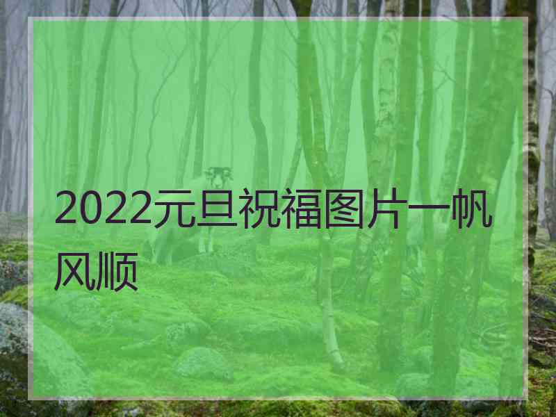 2022元旦祝福图片一帆风顺