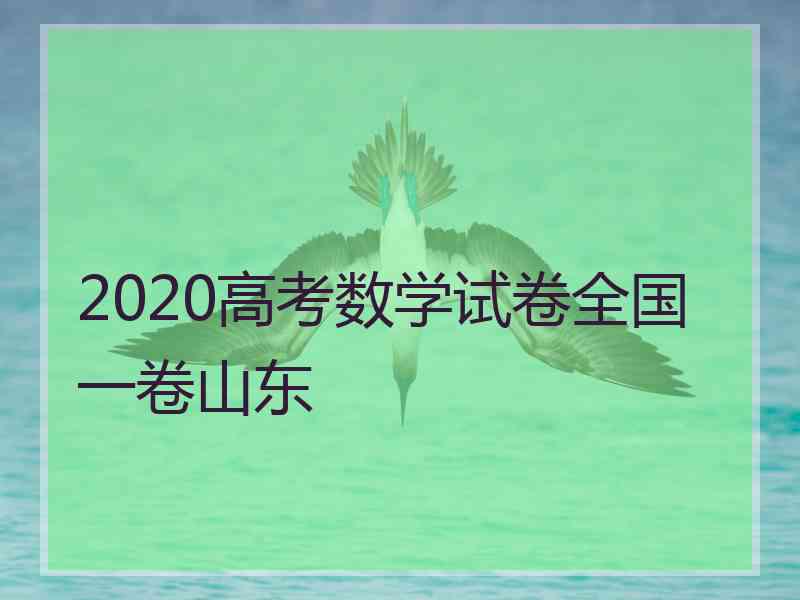 2020高考数学试卷全国一卷山东