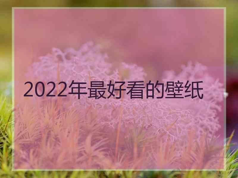 2022年最好看的壁纸