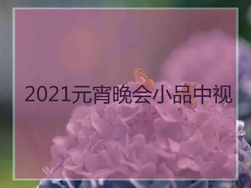 2021元宵晚会小品中视