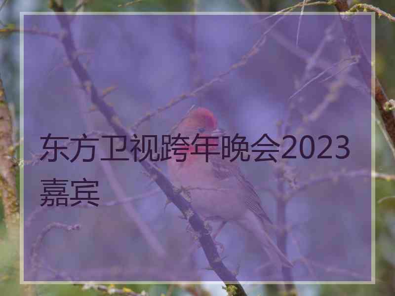 东方卫视跨年晚会2023嘉宾