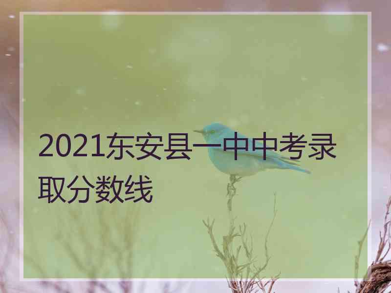 2021东安县一中中考录取分数线