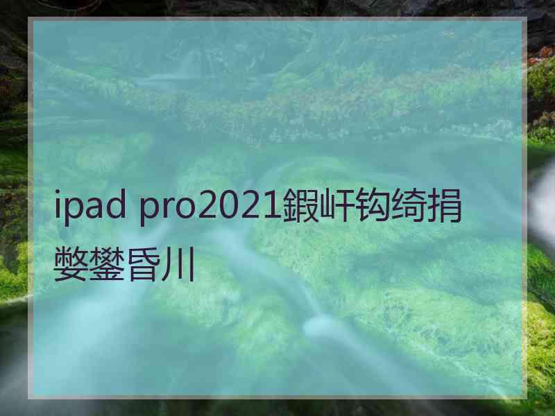 ipad pro2021鍜屽钩绮捐嫳鐢昏川