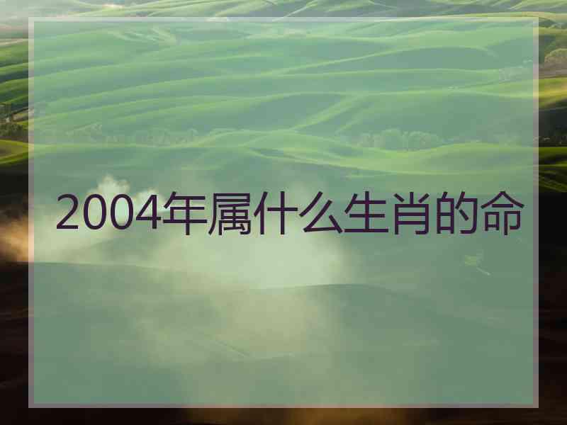 2004年属什么生肖的命