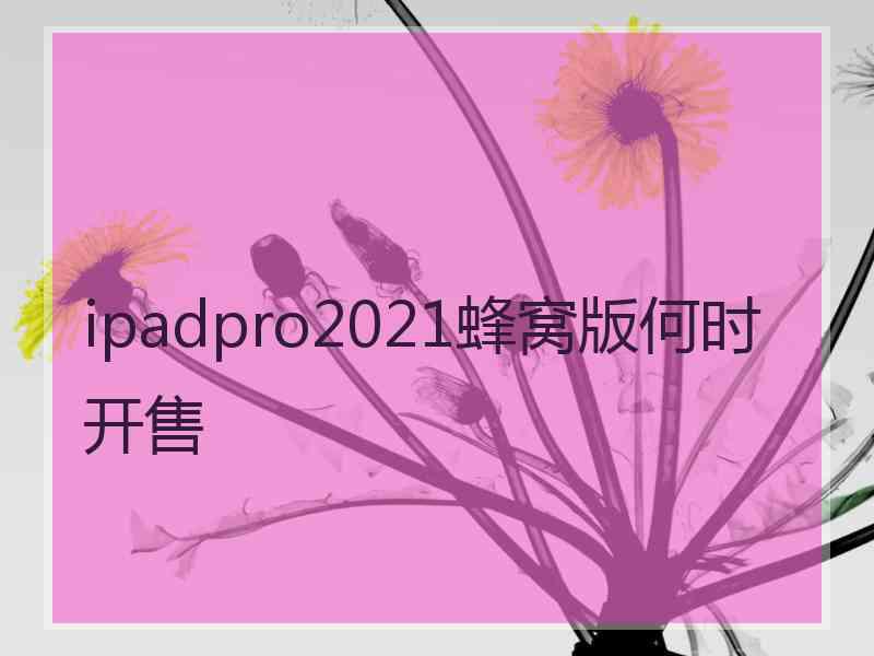 ipadpro2021蜂窝版何时开售