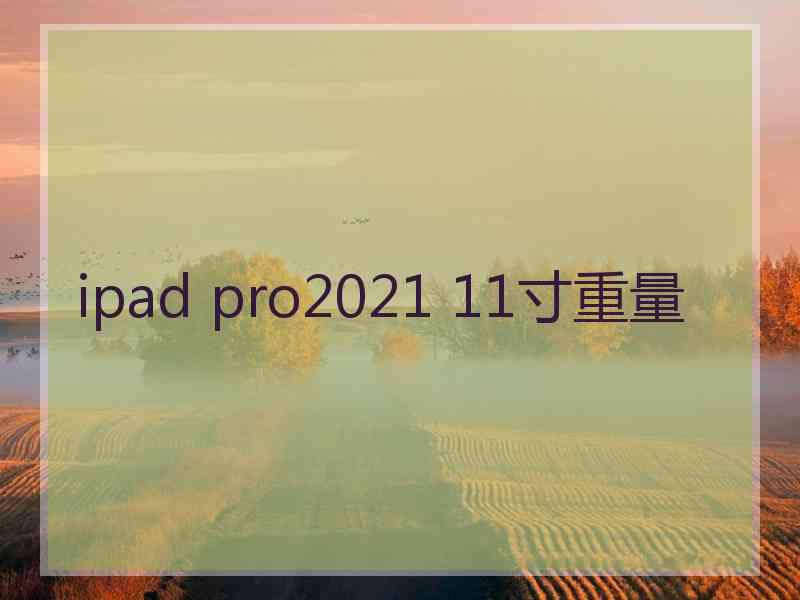 ipad pro2021 11寸重量