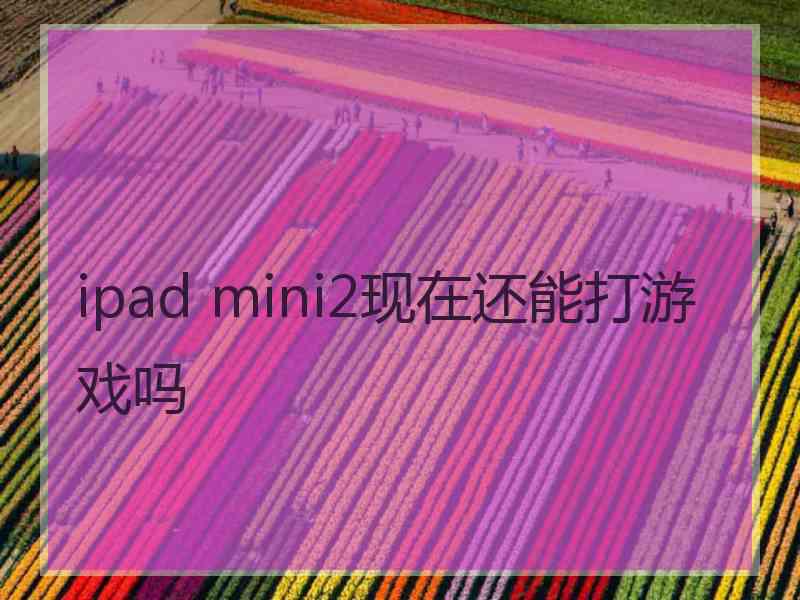 ipad mini2现在还能打游戏吗