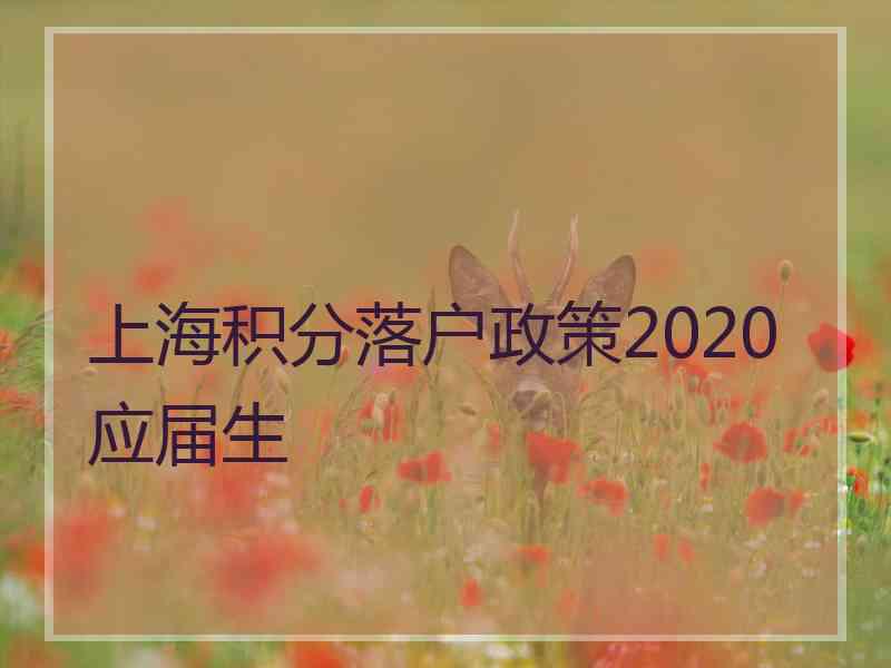 上海积分落户政策2020应届生