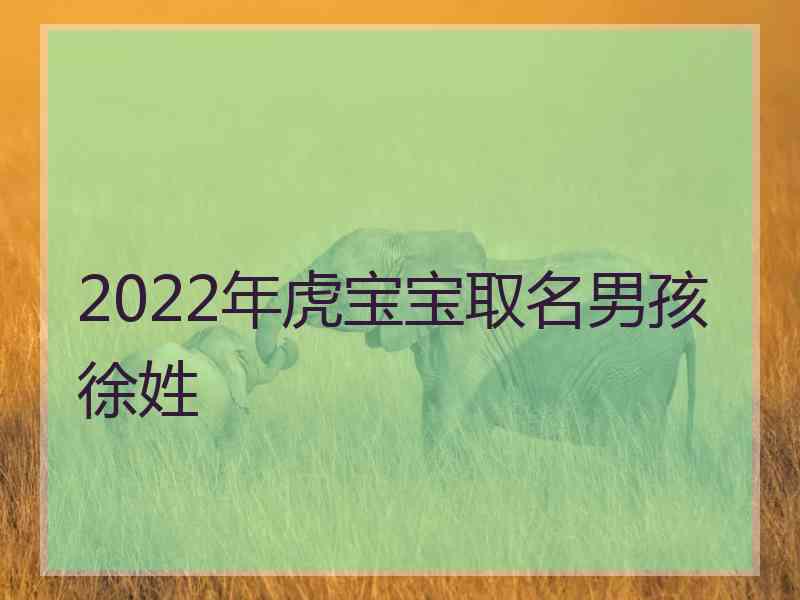 2022年虎宝宝取名男孩徐姓