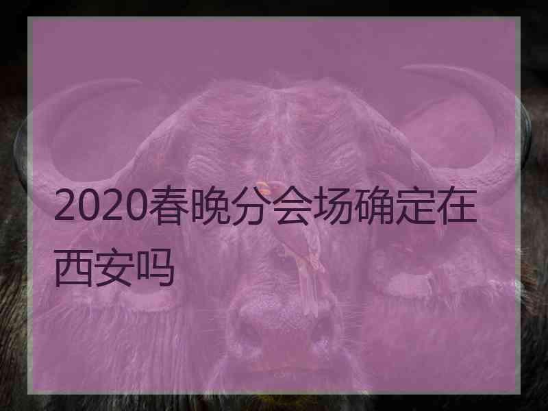 2020春晚分会场确定在西安吗