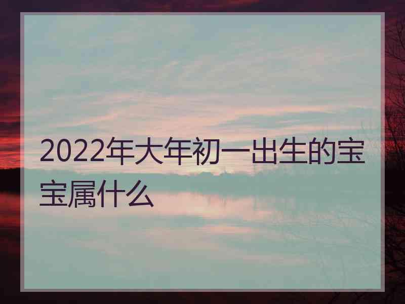 2022年大年初一出生的宝宝属什么