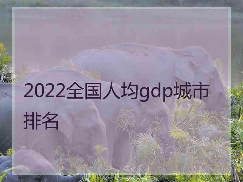 2022全国人均gdp城市排名