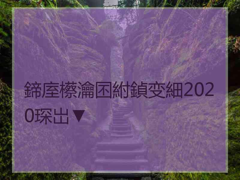 鍗庢櫒瀹囨紨鍞变細2020琛岀▼