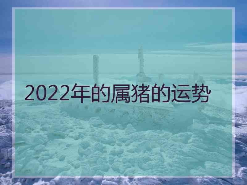 2022年的属猪的运势