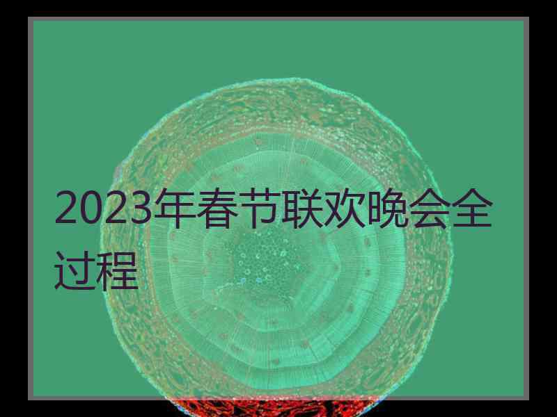 2023年春节联欢晚会全过程