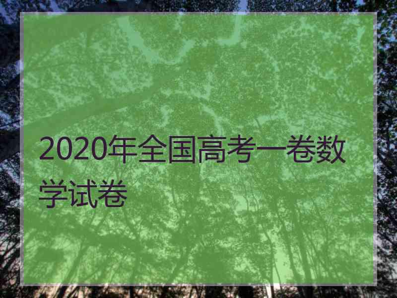 2020年全国高考一卷数学试卷