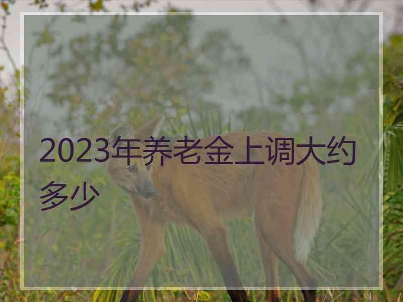 2023年养老金上调大约多少