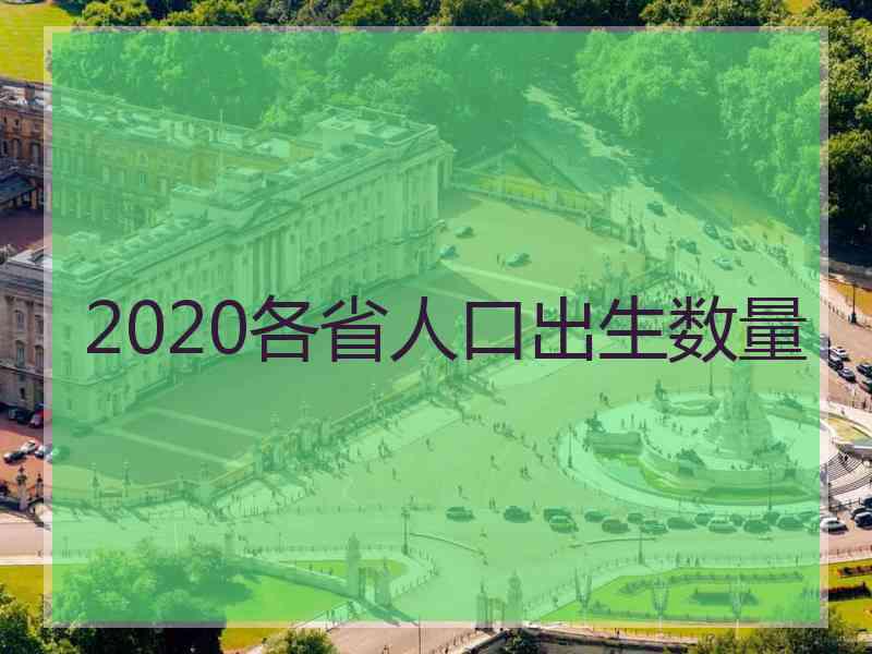 2020各省人口出生数量