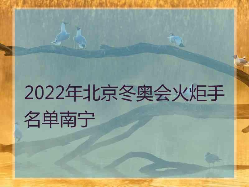 2022年北京冬奥会火炬手名单南宁