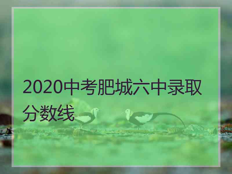 2020中考肥城六中录取分数线