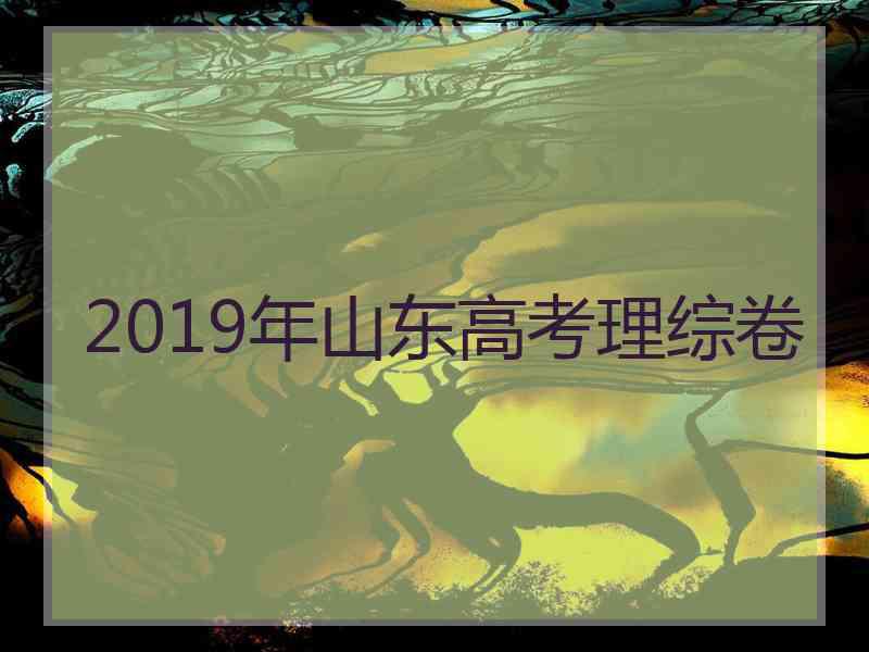 2019年山东高考理综卷