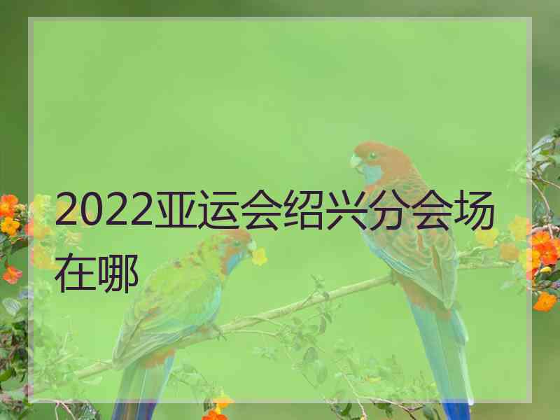 2022亚运会绍兴分会场在哪