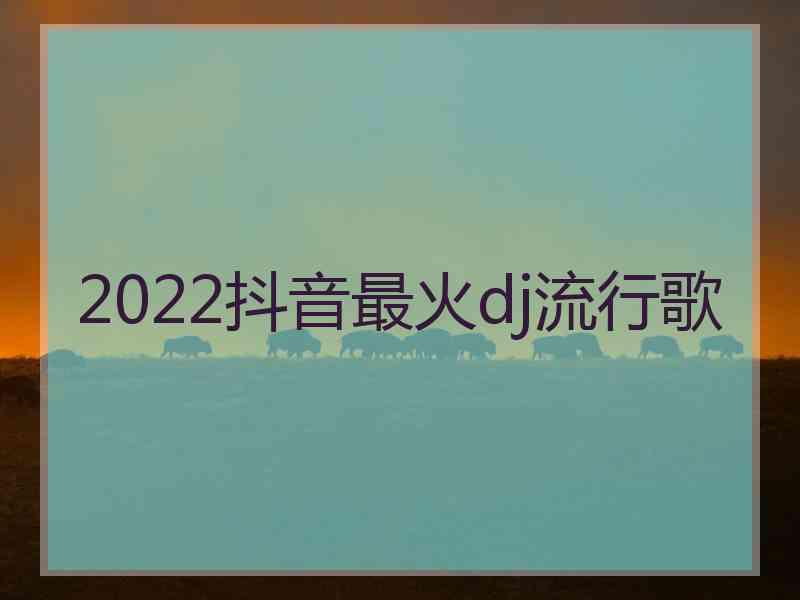 2022抖音最火dj流行歌