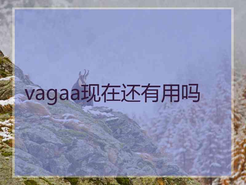 vagaa现在还有用吗